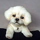 Puppy Teddy Labrador, Teddy Toys, Chelyabinsk,  Фото №1