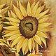 oil painting 'Sunflowers'. Pictures. yuliabogun. My Livemaster. Фото №5