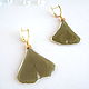Earrings with Real Ginkgo Biloba Leaves Green Leaf Beautiful, Earrings, Taganrog,  Фото №1