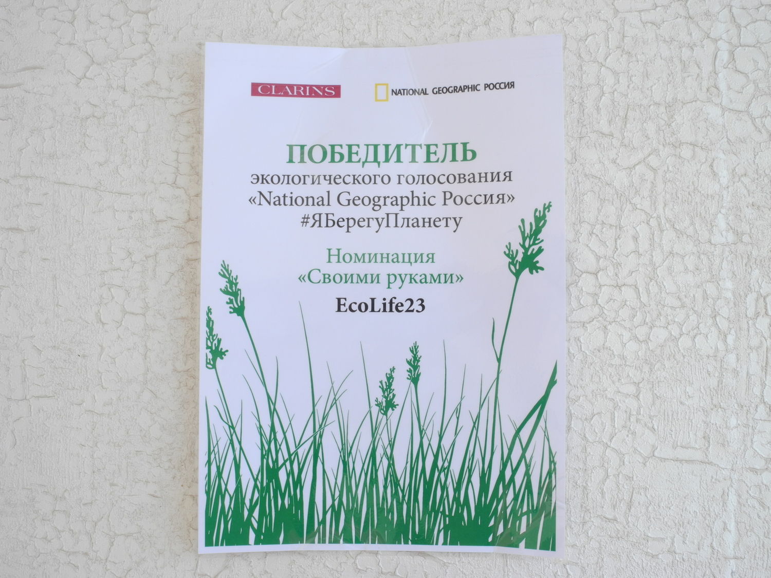 Мой профиль