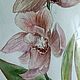 Картина в раме акварель "Орхидея" Цветы 20х30 см. Картины. Marina-voyush. Интернет-магазин Ярмарка Мастеров.  Фото №2