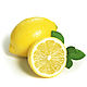 Seed oil lemon RAF. Oil. For inventions. Online shopping on My Livemaster.  Фото №2