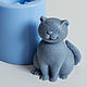 Silicone mold for soap 'cat 3 3D', Form, Shahty,  Фото №1