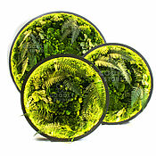 Картины и панно handmade. Livemaster - original item Set of three illuminated moss panels 150 - 90- 75 see. Handmade.