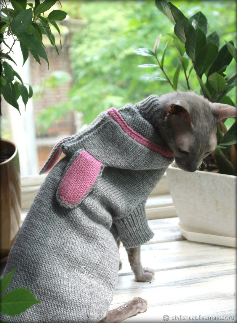 Вязание одежды для кошек