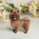 Chocolate felted pomeranian (mini copy of the dog to order), Felted Toy, Novosibirsk,  Фото №1