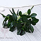 Кустик толстянки 13304. Цветы искусственные. SM-Floristic (искусственные цветы) (sm-floristic). Интернет-магазин Ярмарка Мастеров.  Фото №2