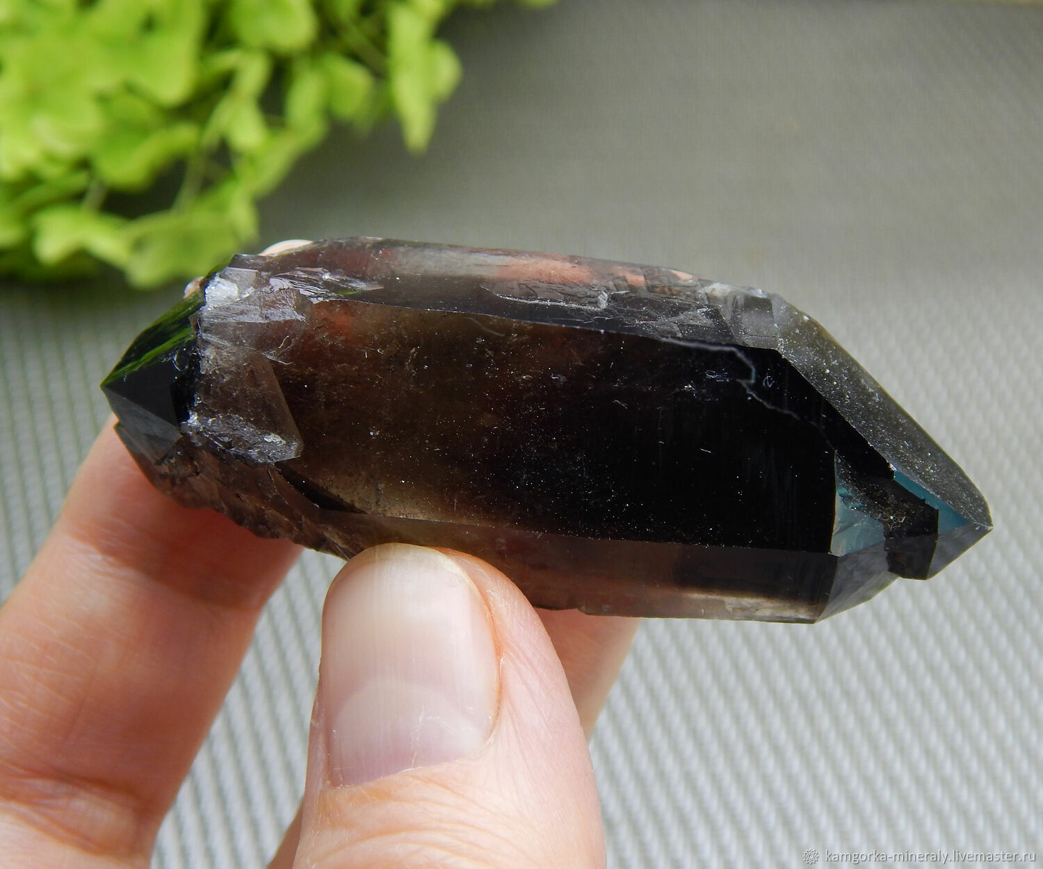 Раухтопаз двухголовик кристалл природный №7053. Натуральные камни винтернет-магазине Ярмарка Мастеров по цене 2770 ₽ – RLBQ6RU