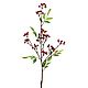Branch with red berries 86 cm. Plants. best-coll-mos. Online shopping on My Livemaster.  Фото №2
