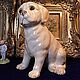 Винтаж: Собака.Щенок.Статуэтка.Staffordshire.Англия. Статуэтки винтажные. Антик.Декор.Винтаж. Ярмарка Мастеров.  Фото №4