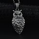 Заказать  Wise Owl. Delor (Aleksandr5). Ярмарка Мастеров. . Подвеска Фото №3