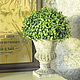 Pot on a leg concrete medium Shabby chic Vintage Provence Antique, Vases, Azov,  Фото №1