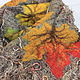Maple Stole, Scarf, Sewn, Autumn, Wraps, Novosibirsk,  Фото №1
