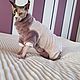 Cat clothes 'Super Comfort Jumpsuit', Pet clothes, Biisk,  Фото №1