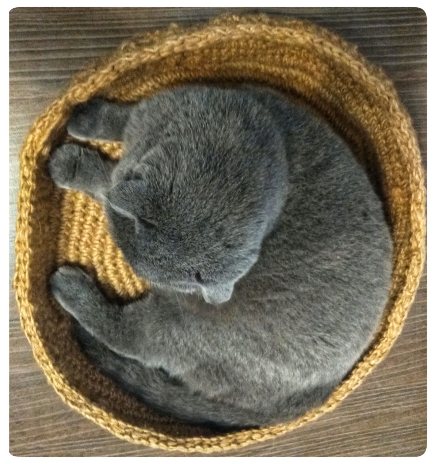 Лежанка для кота из свитера