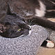 Interior soft toy Sleepy cat. Interior elements. Cuteshop. My Livemaster. Фото №6