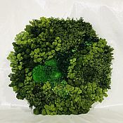 Картины и панно handmade. Livemaster - original item Fotokartin of different types of moss. Handmade.