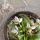 Order Interior composition with snowdrops. KG_flowers. Livemaster. . Composition Фото №3