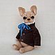 Archie The Chihuahua, Teddy Toys, Astrakhan,  Фото №1