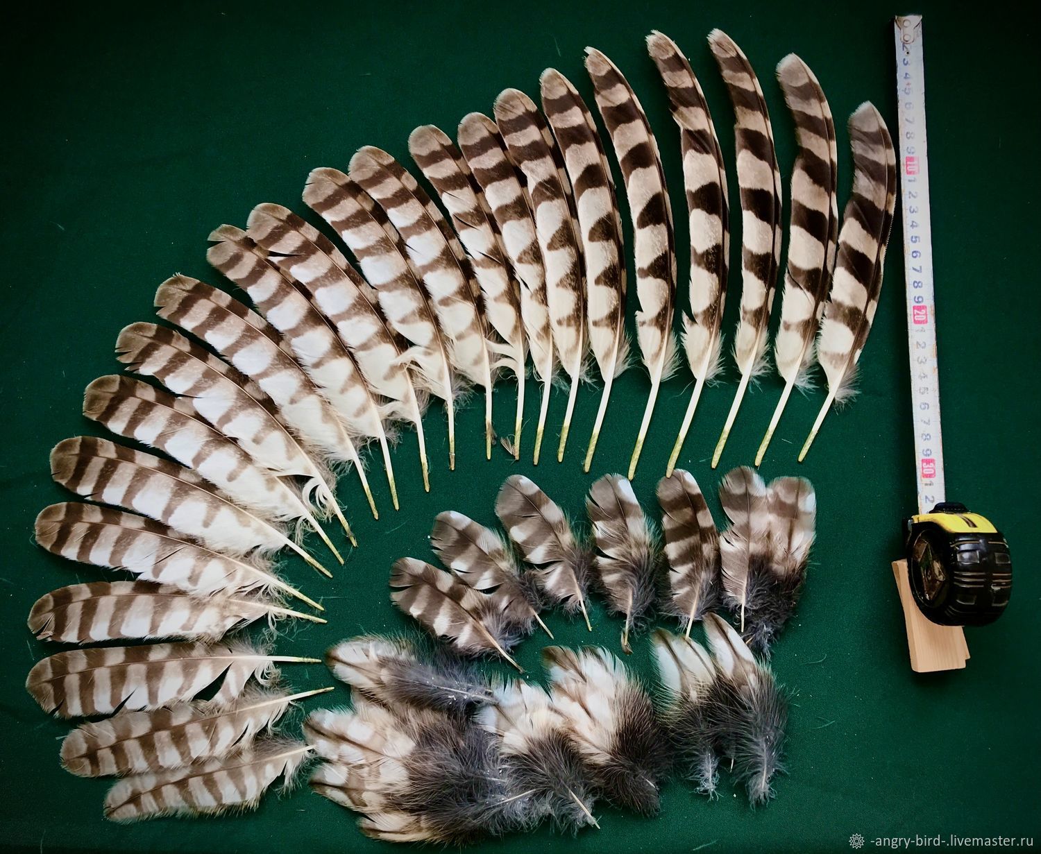 Маховые перья совы купить в интернет-магазине Ярмарка Мастеров по цене ...