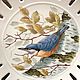 Painted porcelain. A set of 'Bird Quartet». Dinnerware Sets. Frida Gots. My Livemaster. Фото №4