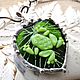"Лягушка на листе" кулон из стекла в витражной технике, Кулон, Челябинск,  Фото №1