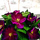 Flower-nightlight violets ' Fiona'. Nightlights. Elena Krasilnikova. My Livemaster. Фото №4