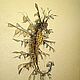Order Art object 'Leafy dragon'. HANDMADE Studio. Livemaster. . Sculpture Фото №3
