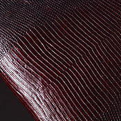 Материалы для творчества handmade. Livemaster - original item Lizard skin, abdominal part of the skin, width 30-32 cm IMR2002VK. Handmade.
