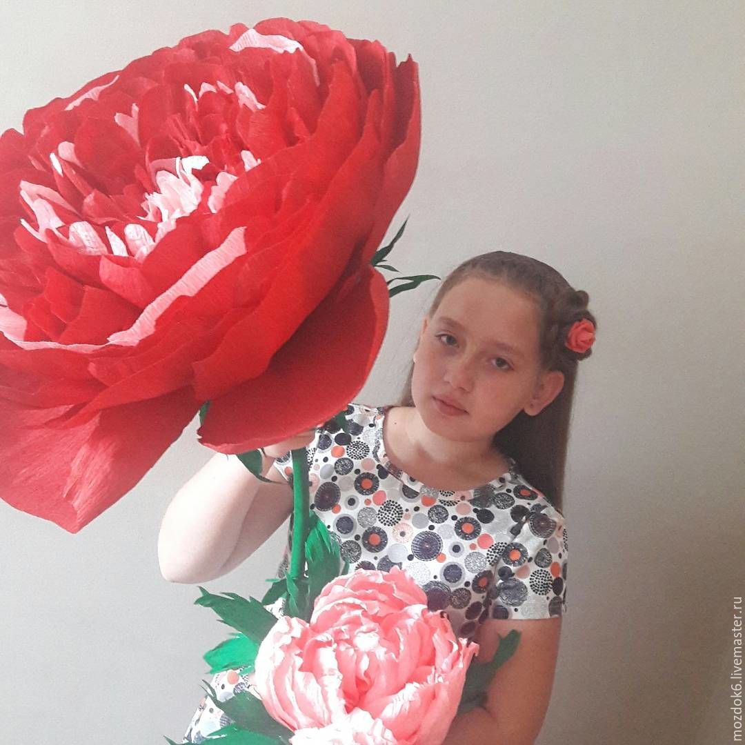 Цвета кухни из пленки пвх Цвета кухни из пленки пвх