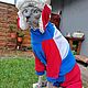 Clothing for cats Fleece jumpsuit 'Patriot'. Pet clothes. Happy-sphynx. Online shopping on My Livemaster.  Фото №2