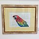 Parrot. Pictures. Elena Legutko. Online shopping on My Livemaster.  Фото №2