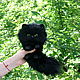 Черный котенок. Мягкие игрушки. ольга. Интернет-магазин Ярмарка Мастеров.  Фото №2