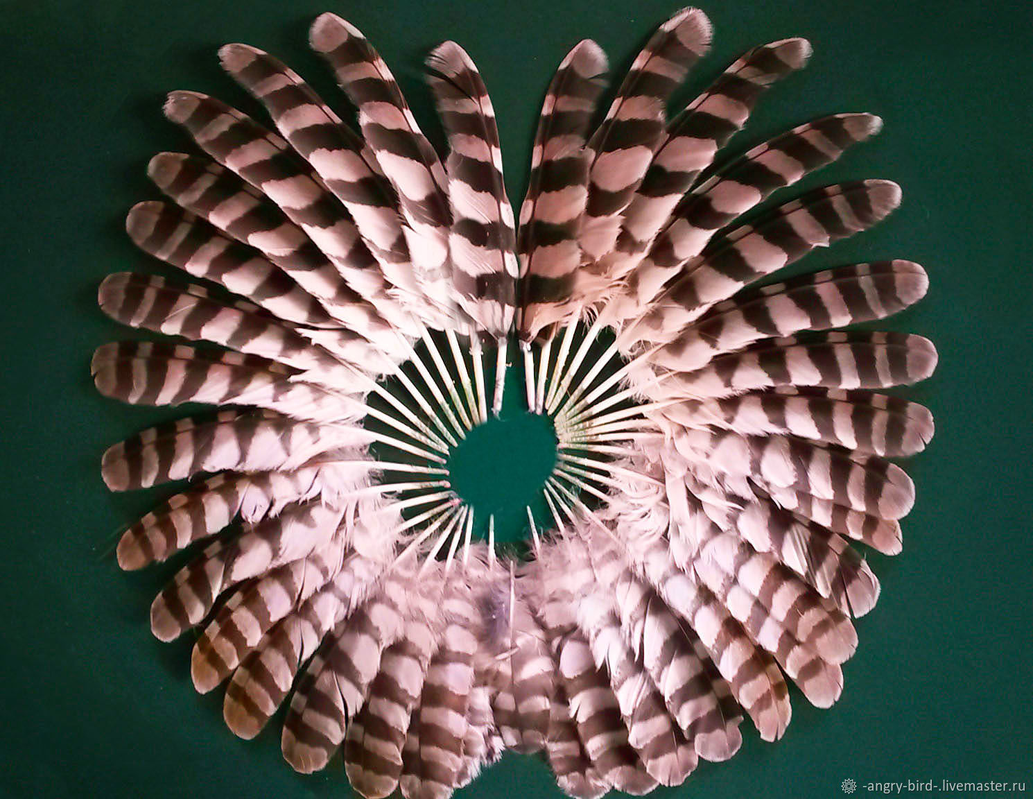 Маховые перья совы купить в интернет-магазине Ярмарка Мастеров по цене ...