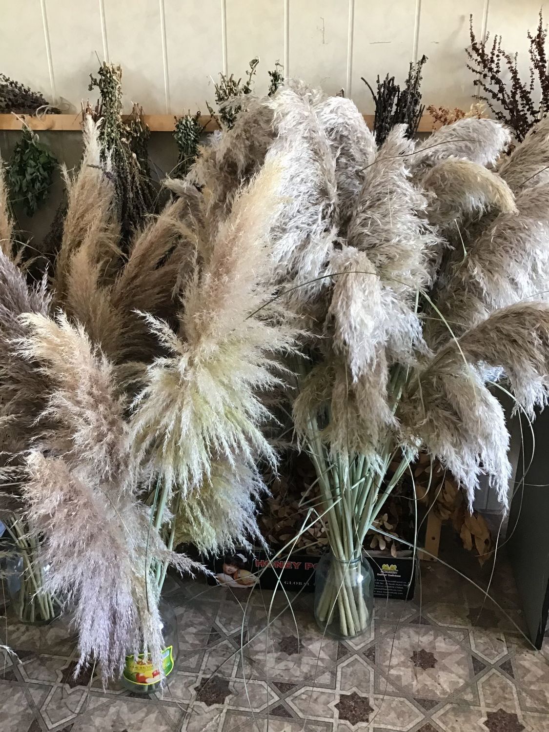 Пампасная трава. Кортадерия Сухоцветы – купить на Ярмарке Мастеров ...