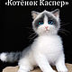 МК "Котёнок Каспер" спицы, Схемы для вязания, Воскресенск,  Фото №1