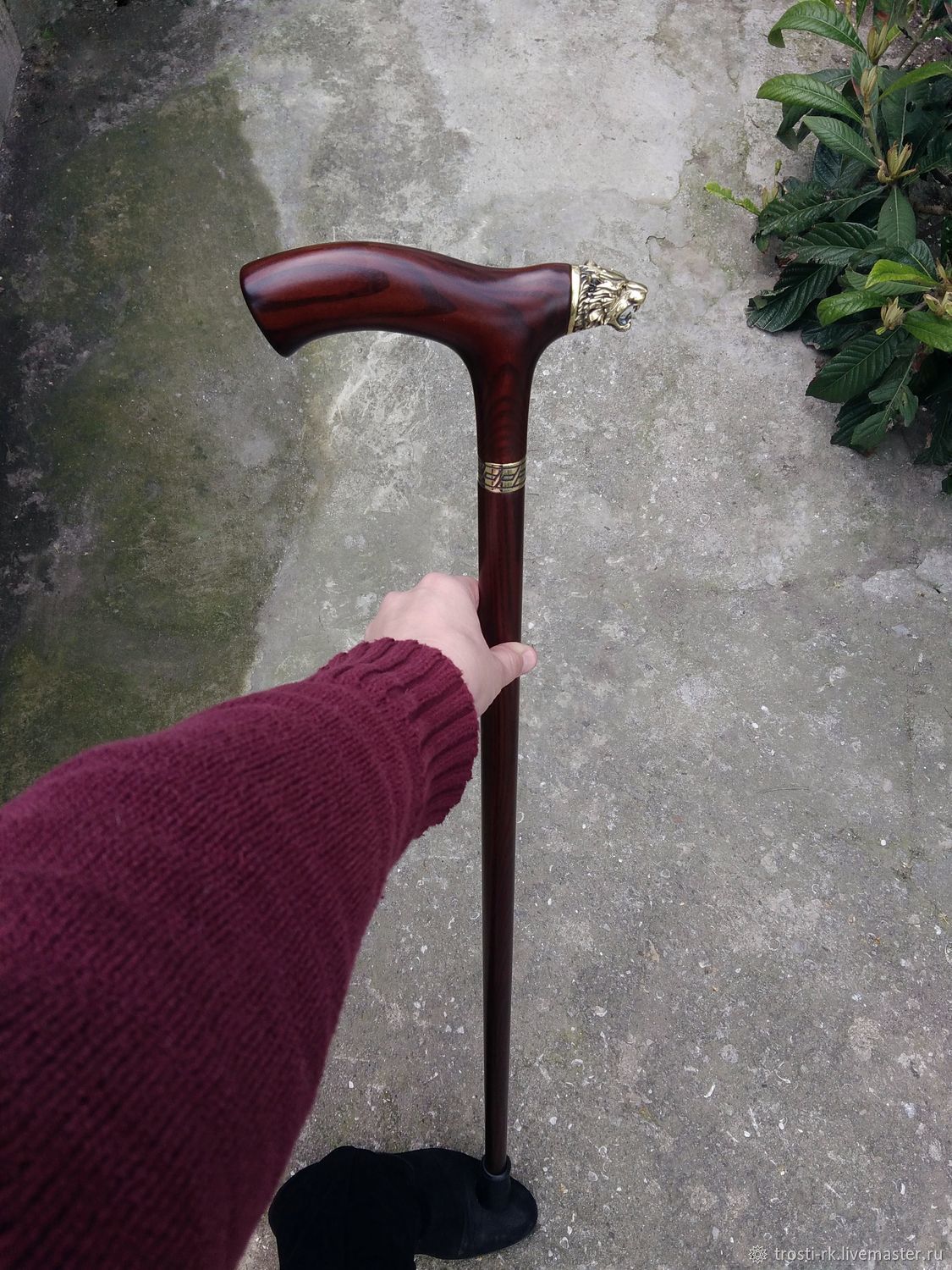 Трость "ТИГР 4 - ХОРС" Мокко (Ясень) Авторская в интернет-магазине ...