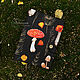 Обложка для планера А5 на кольцах «Осенние тропы» Блокнот мухомор, Планеры, Йошкар-Ола,  Фото №1