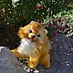 Order Soft toys: Pomeranian. Felt toys (rushanatim). Livemaster. . Stuffed Toys Фото №3