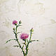 Thistle, watercolor, Pictures, Moscow,  Фото №1