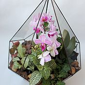 Цветы и флористика handmade. Livemaster - original item Orchidarium. The Floriana. Geometric Floriana with Orchid. Handmade.