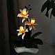 Luz de noche de orquídeas ' elain', Nightlights, Surgut,  Фото №1