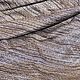 Итальянская ткань вискозный трикотаж, Ткани, Нижнекамск,  Фото №1
