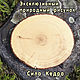 Cedar Sadhu Board with Iron nails, 10 mm, for beginners. Yoga Products. radosti-master. My Livemaster. Фото №5