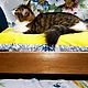 Кроватка для кошки или маленькой собачки, Домик для питомца, Мытищи,  Фото №1
