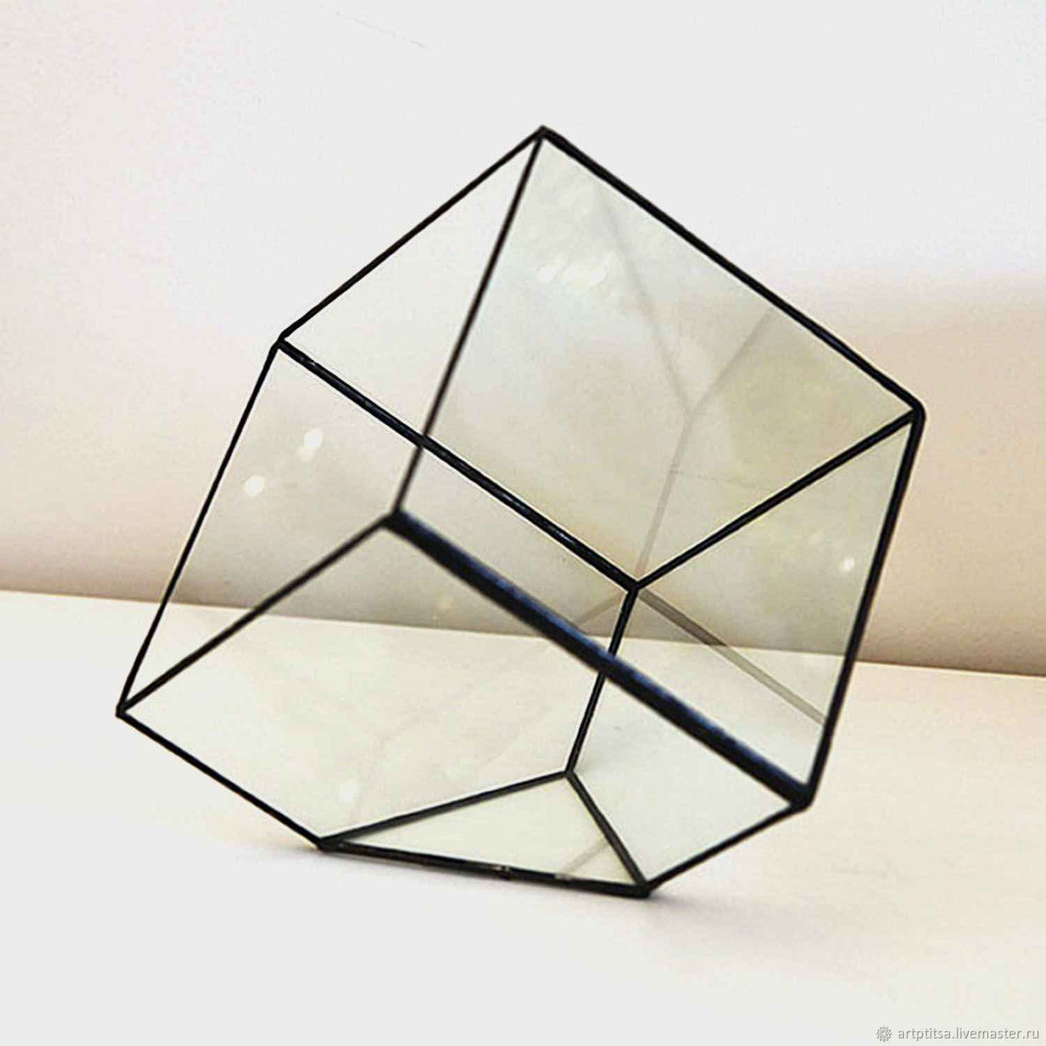 Куб с цветами внутри. «Большой куб, малый куб», Peter Stewart. Флорариум усеченный куб. Стеклянный куб. Стеклянные кубические вазы.