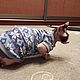 Clothing for cats 'Scandinavian pattern'. Pet clothes. Happy-sphynx. Online shopping on My Livemaster.  Фото №2