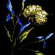 Order Mini painting with irises. Small paintings with hogweed. Landscape irises. Zabaikalie. Livemaster. . Pictures Фото №3
