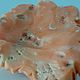 Камея Роза из натурального коралла, 35х33 мм. Кабошоны. Freya Charme by Oxana Rakitina. Ярмарка Мастеров.  Фото №6