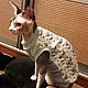 Clothing for cats 'Raccoons', Pet clothes, Biisk,  Фото №1